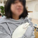 천상초등학교 네이버블로그