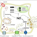 골드제이의원 이미지