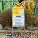 부용초등학교 이미지