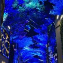 아트 온 스크린-고집쟁이 딸 | 인스파이어리조트 고래쇼 명당자리 선점 꿀팁! 아이스크림 먹으며 핑크 고래 직관기