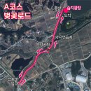 주문진정수장 | 강릉 점심 현지인 맛집 오죽헌 소갈비찜 경포대 벚꽃 축제 벚꽃핑 강릉 벚꽃 지도