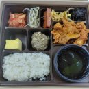 순천만 에코촌 | 2026 순천로드 창작캠프 애니메이션 후기