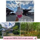 은하사 | 김해 사찰 은하사 꽃무릇 만발한 곳