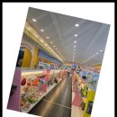 베베펫 천안 강아지분양 고양이분양 이미지