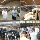 지구목장 이미지