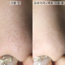 고울도울 | 어바웃톤 여름 베이스, 블러파우더팩트 메이크업픽서 프라이머 사용 후기
