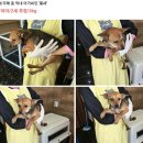 부산농장 이미지