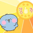용문산허브찜질방 네이버블로그