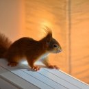 헌산중학교 이미지