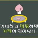 초지V점핑