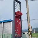 언양읍행정복지센터 | 밀양 상동면 명품장미꽃길 언양읍행정복지센터