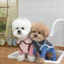 짱앤짠 | [플루앤미] 코지 버디 올인원,모자 후기!