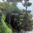 동해안로R 이미지