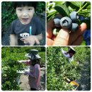 용신농장 이미지