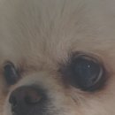 쿨펫동물병원 킨텍스점 이미지
