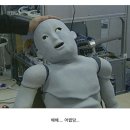 연초에는 이렇게 살았답니다(+라섹후기)