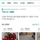 소담아람 네이버블로그