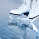 트리짐 트리태닝 이미지