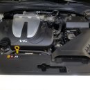 SHARK MOTOR OIL 이미지