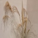 경주 그레이선셋 풀빌라 이미지