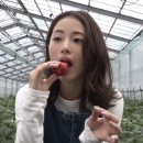 쉿 비밀이야 이미지