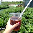 사오농장 이미지