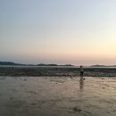 어나더153애견펜션 이미지