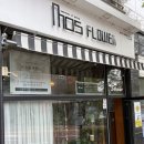 갤러리모스 | 구산동 24시간 생화자판기 꽃다발, 당일픽업 가능한 모스플라워 후기
