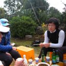 석규농장 Daum카페