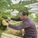 과일백화점 이미지