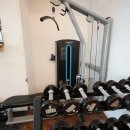 포레스트 다이어트 이미지