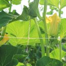 윤희농장 이미지