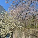 방화근린공원 관리사무소 이미지