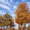 마루컨설팅 | [공지] 브런치 인 더 해뜰마루, 가을 브런치와 윤별향기 밴드 공연 후기