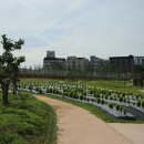 모산공원 Daum카페