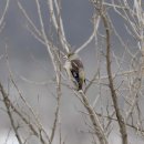 여주-1033 이미지