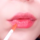 더 릿치 이미지