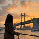 광안3-307 | 부산 여행 필수 코스 추천! 부산 광안리 요트 투어