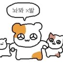 퍼피랜드애견카페 이미지