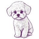 미앤멍 강아지분양 제주본점 이미지