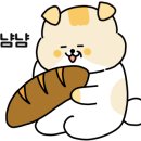 화니샐러드 네이버블로그