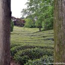 (주)월곡영화골 이미지