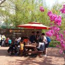 야호캠프 이미지