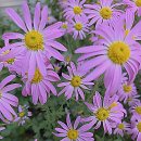 동홍1공영주차빌딩 | 김포공항 공영주차 하루 주차비 할인 후기