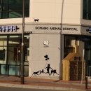 풍동 동물병원 이미지