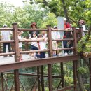 새자연어린이집 이미지