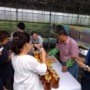 문정농장 이미지