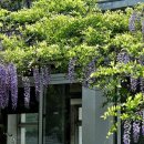 화천민원센터 이미지