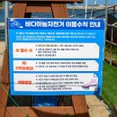 바다와자전거 | [강릉여행] 강릉 아라나비 바다하늘자전거, 도파민 터지는 레오제이 하늘자전거 후기