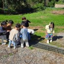 시립생명숲어린이집 이미지